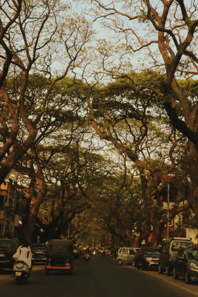 Are LFP Batteries Safe?