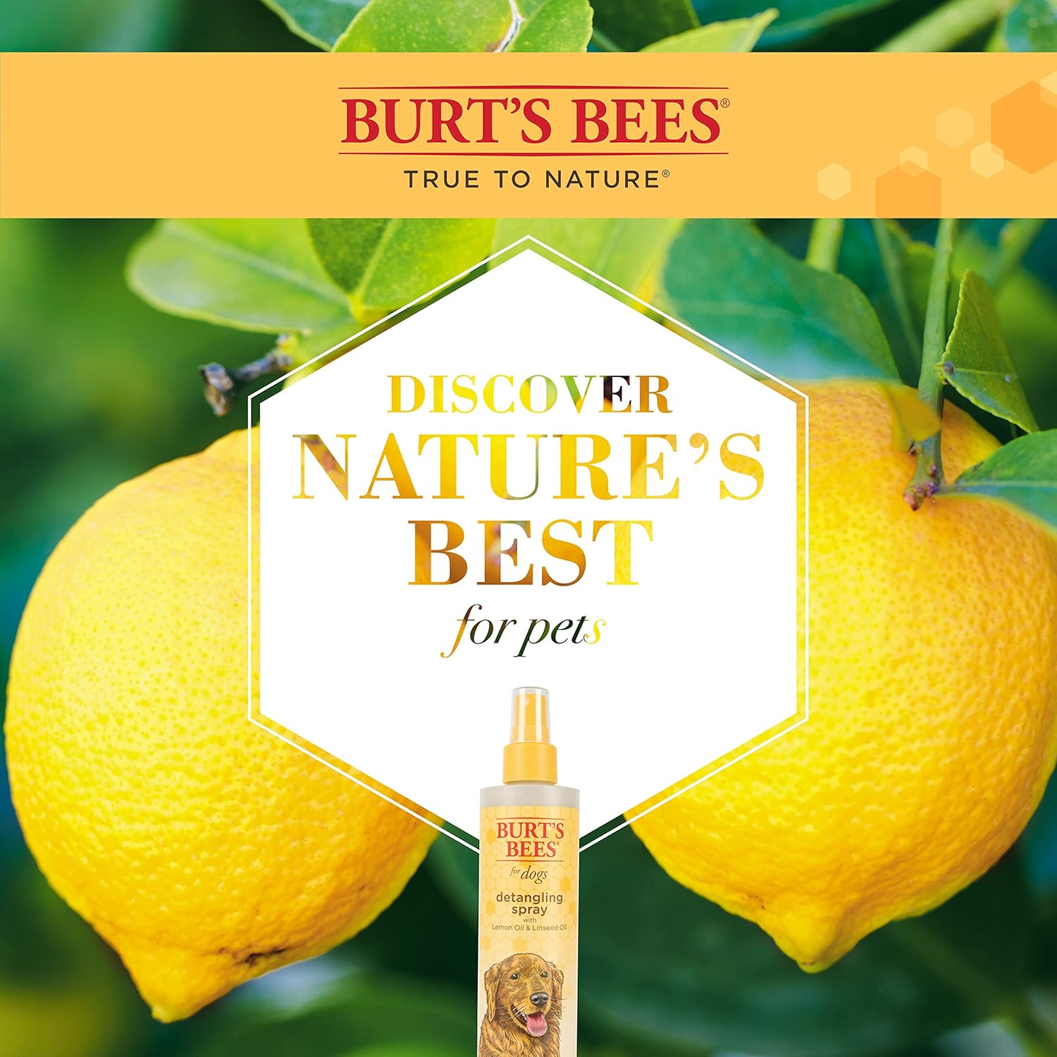 Burt’s Bees for Pets Detangling Spray Review